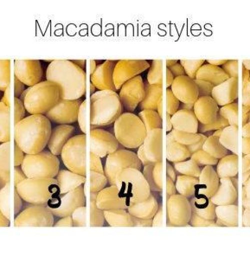 Macadamia 14
