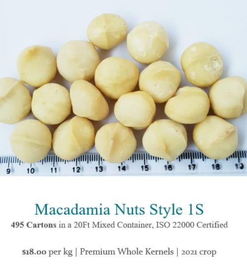Macadamia 8